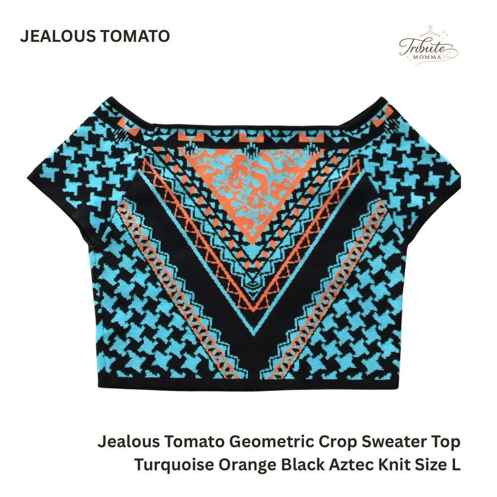 Jealous Tomato Turquoise and Black Geometric Crop Sweater Top